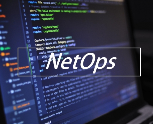 NetOps Blog Article
